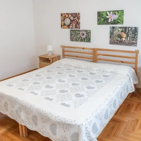 Mv24 Apartman *